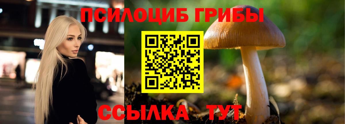 Псилоцибиновые грибы прущие грибы Кумертау